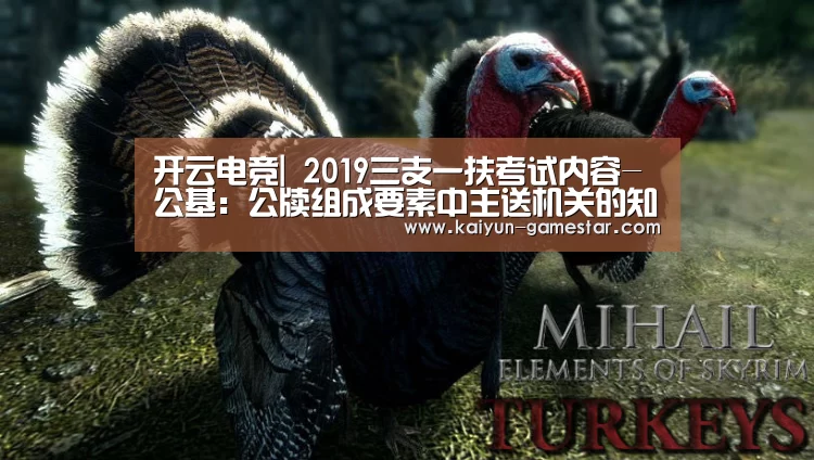 开云电竞|
2019三支一扶考试内容-公基:公牍组成要素中主送机关的知识梳理(图1) 开云棋牌游戏