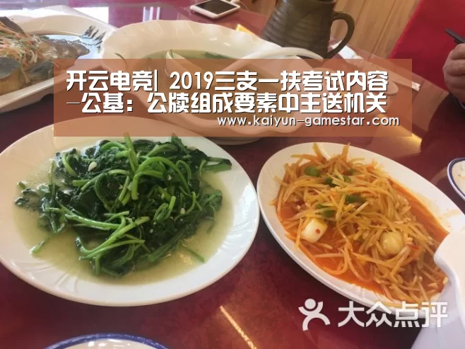 开云电竞|
2019三支一扶考试内容-公基:公牍组成要素中主送机关的知识梳理(图3) 开云棋牌游戏